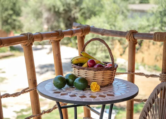 Eco Olive Treehouse