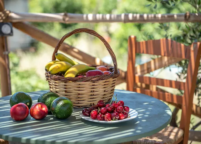 Eco Olive Treehouse