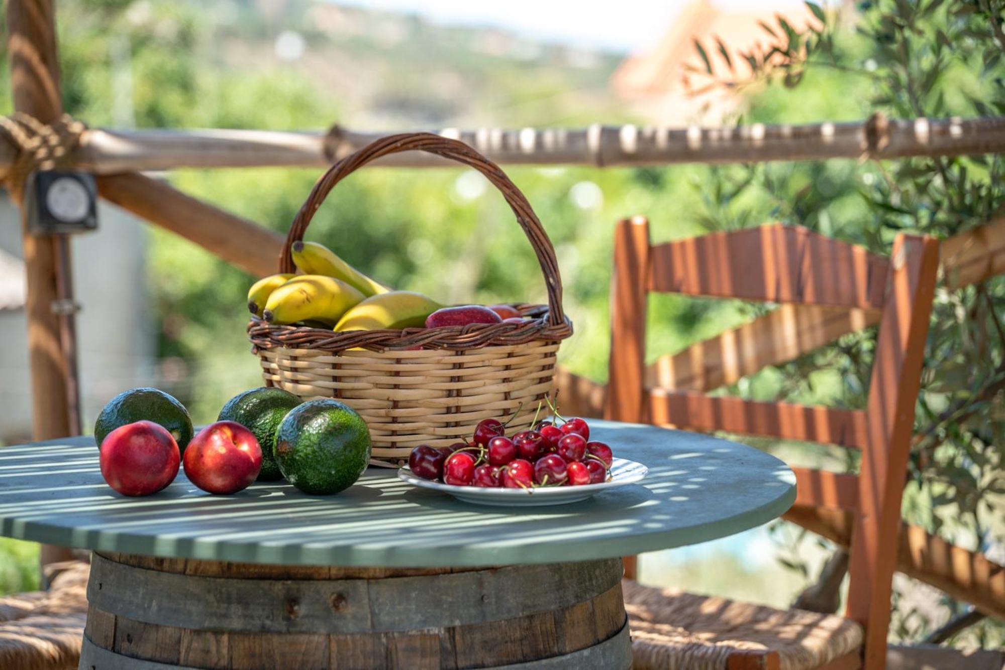 Eco Olive Treehouse Campsite Chania (Crete)